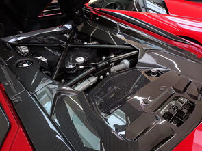 Lamborghini Aventador LP700 Dry Carbon Fiber Engine Bay Trim Set