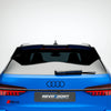 Revozport Audi RS6 C8 Avant 2020+ Carbon Fiber Roof Spoiler