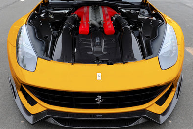 DMC Ferrari F12 Berlinetta : Carbon Fiber Engine Room Panels & Air Box & Center Trim: Fits the Coupe & Spider