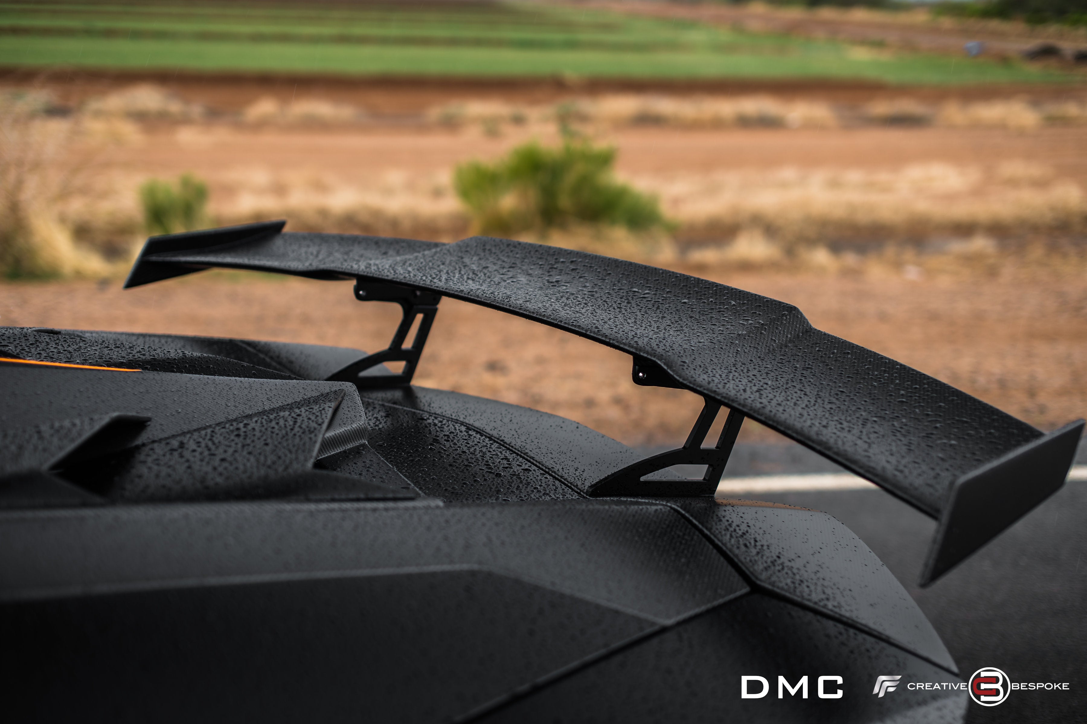 Carbon Fiber Rear Spoiler for BMW E46 Double Layers Tail Wing - China Rear  Spoiler, Tail Wing