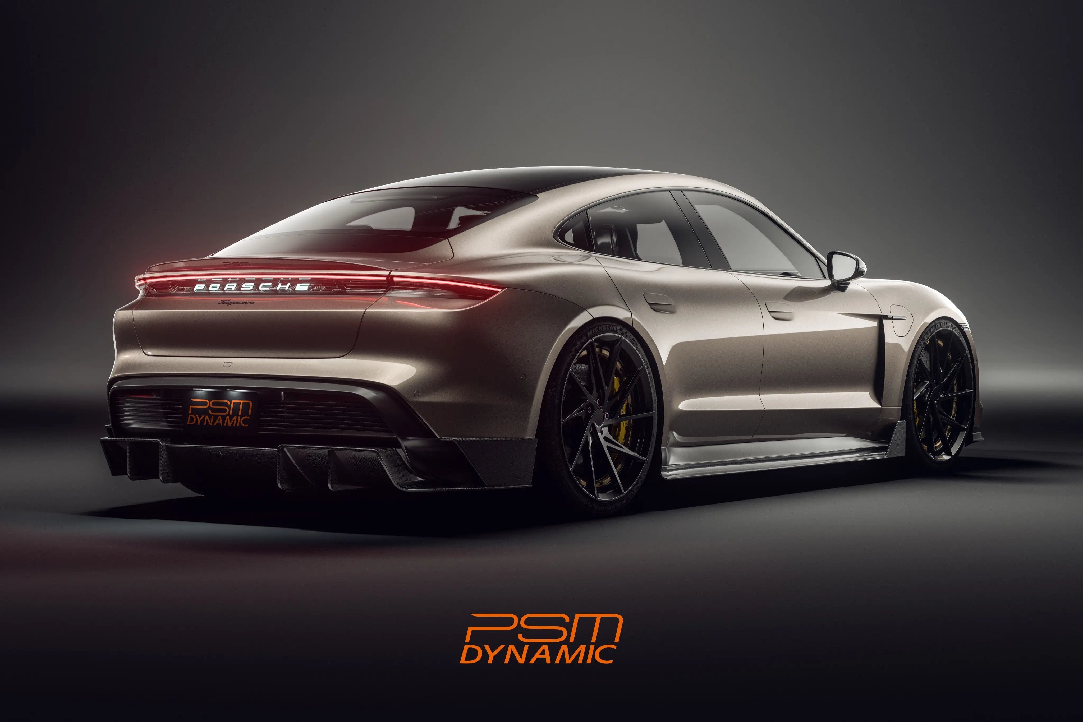 Tycan Rear Fender PSM Dynamic Carbon Fiber Rear Spoiler for Porsche Taycan 2020+ – CarGym
