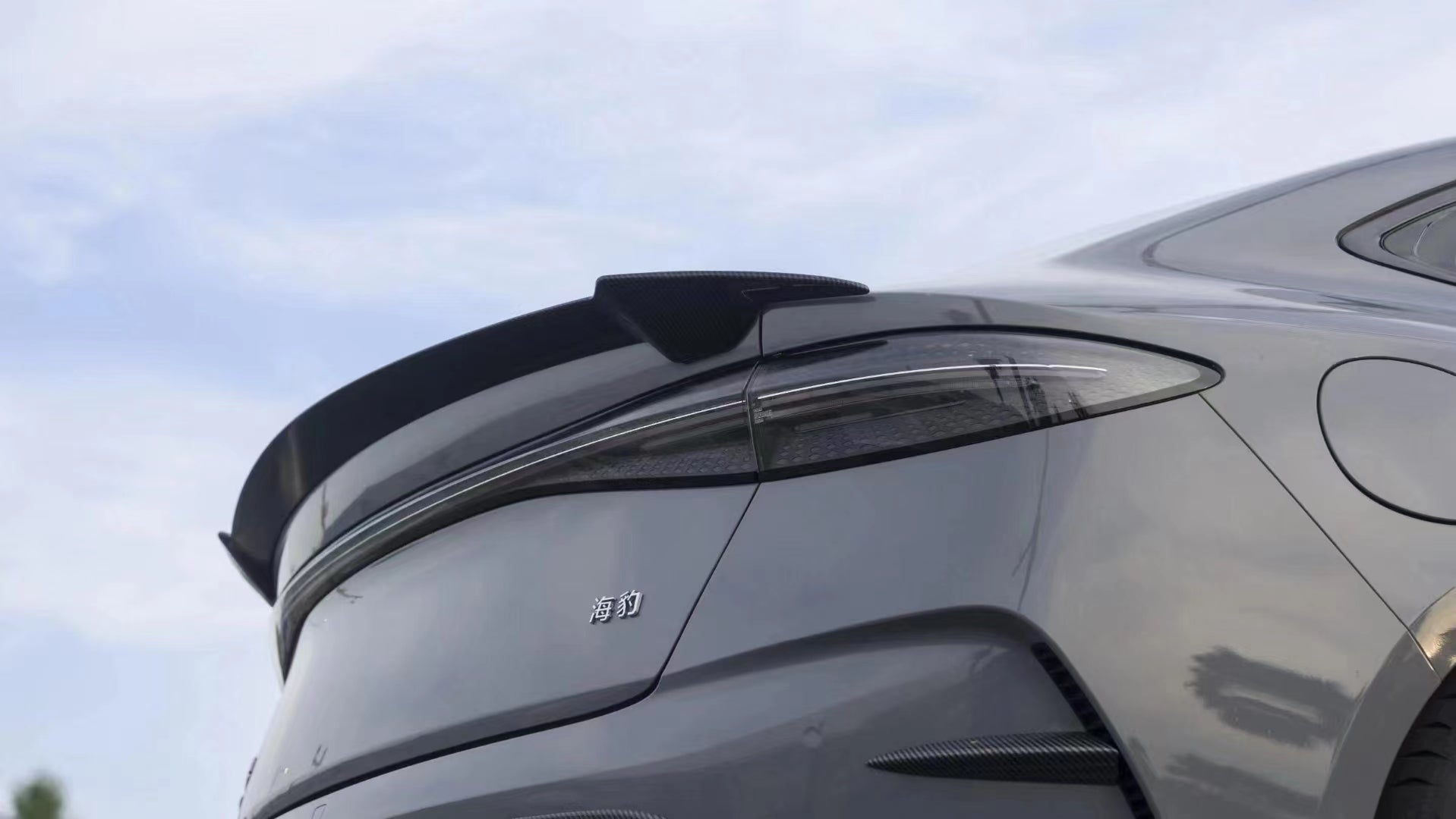 Byd Pattern EGF Aerodynamic Body Kit for BYD SEAL 2022+ – CarGym