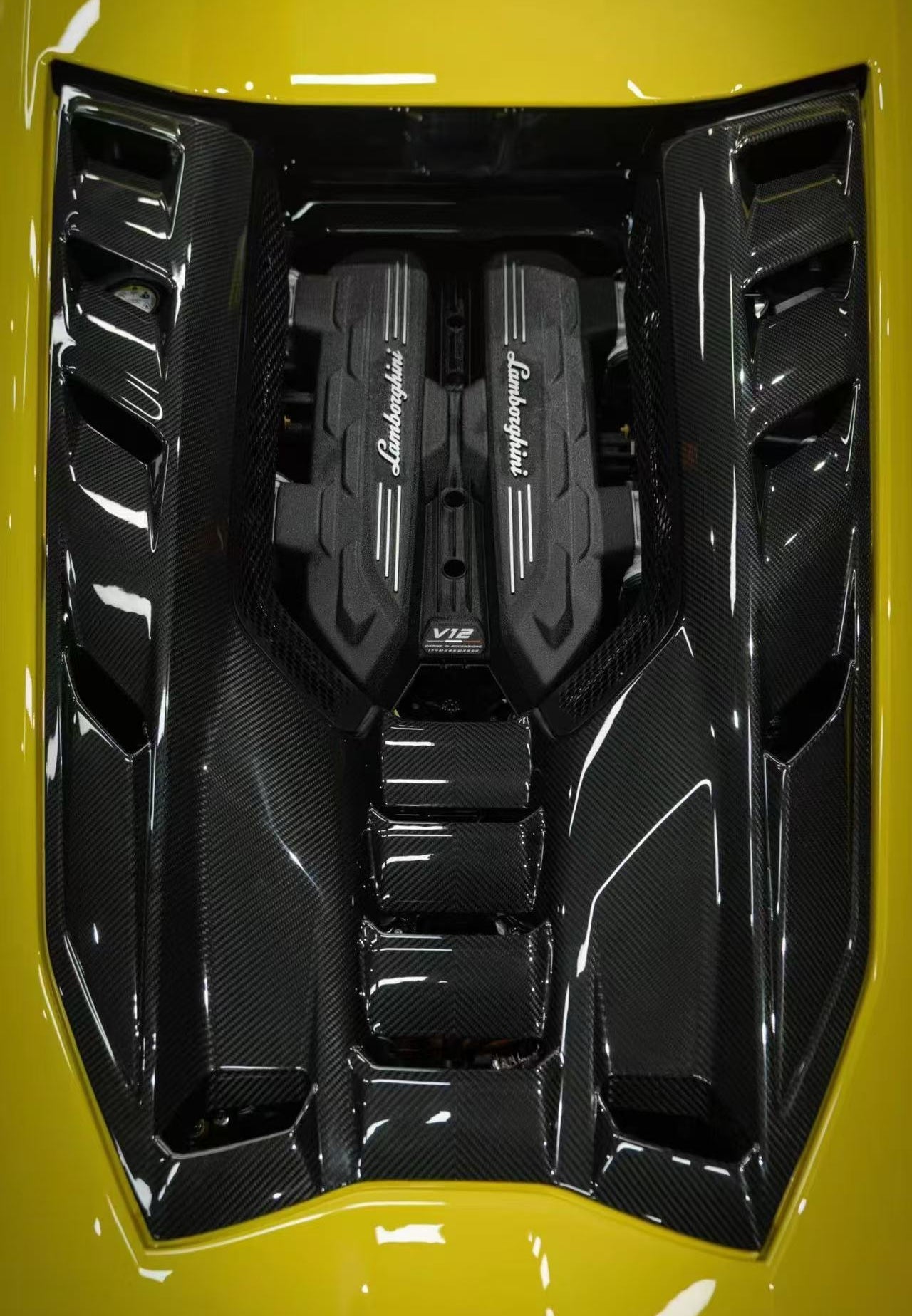 Lamborghini Revuelto Carbon Rear Engine Cover OEM Style – CarGym