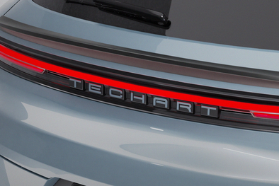 TECHART Rear Lettering for Porsche E3.2 Cayenne starting 2024+