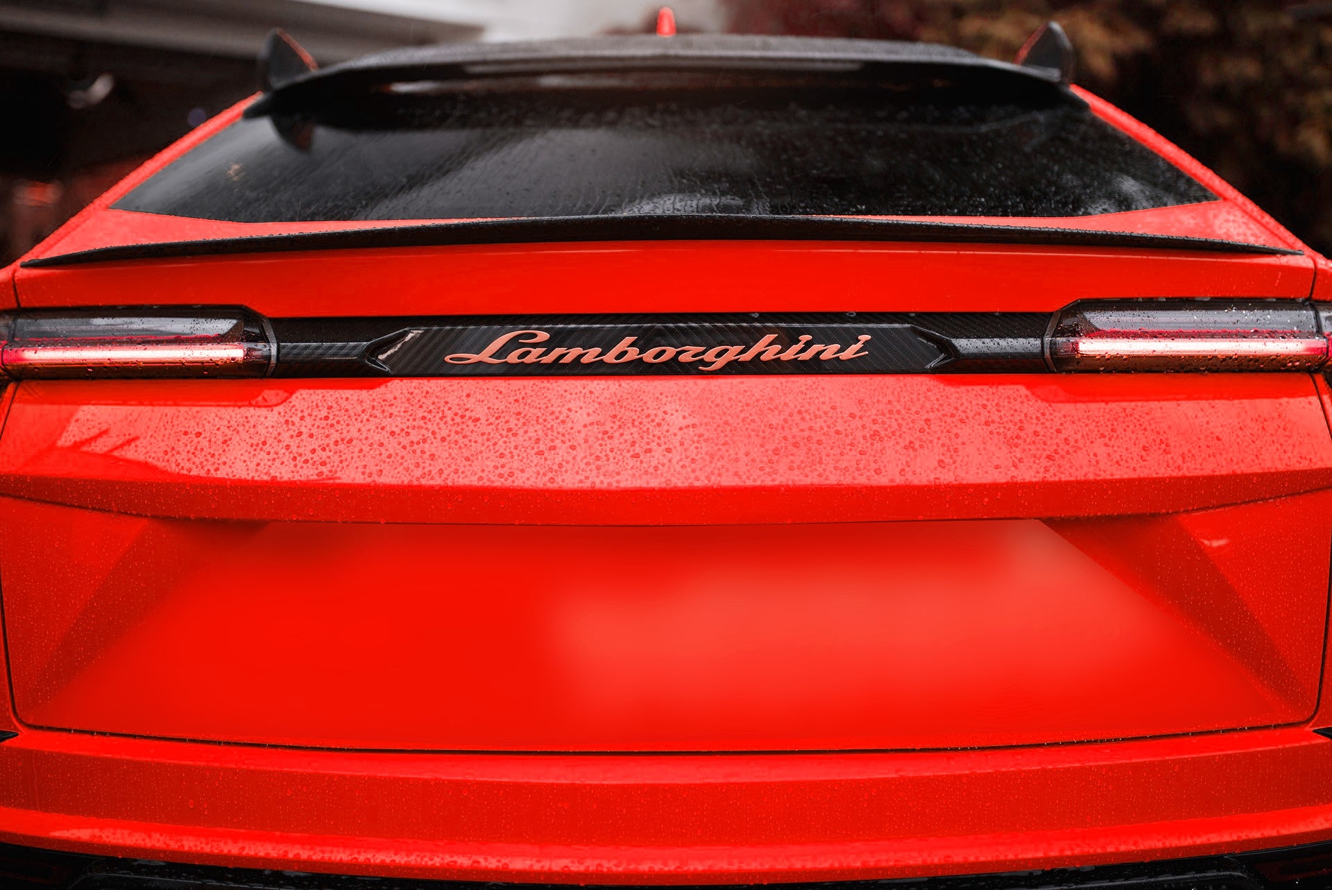 DMC Lamborghini URUS Carbon Fiber Trunk Wing – CarGym
