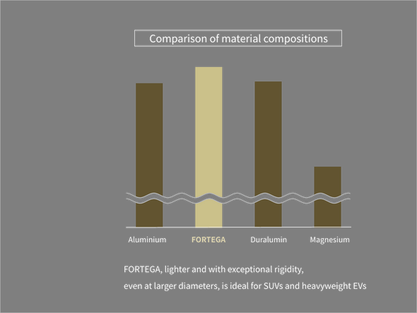 BBS FL Forged FORTEGA 1-Piece Wheel