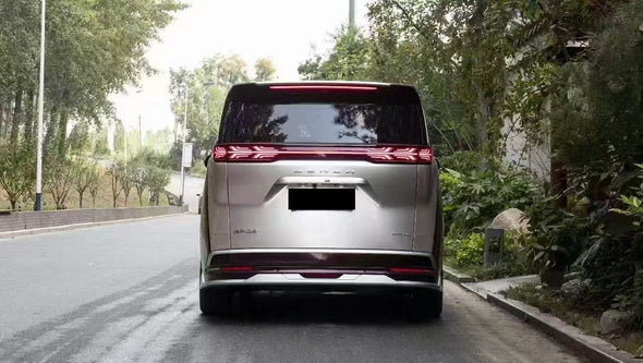 Genesis Denza D9 LED Body Kit