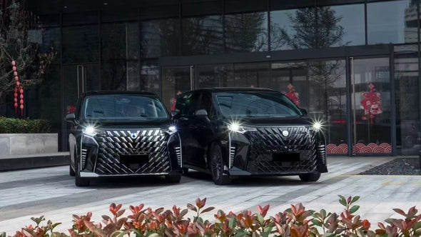 Genesis Denza D9 LED Body Kit