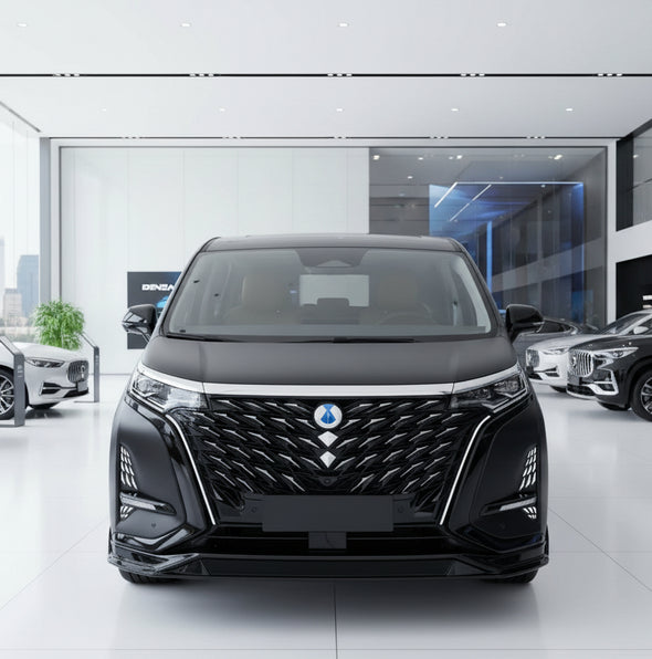 Denza D9 Galaxy Stars Gloss Black Front Grill w/ Daytime Running Light Set