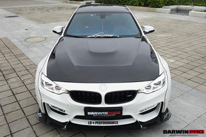 Darwinpro 2014-2019 BMW M3/M4 GTS Style Hood