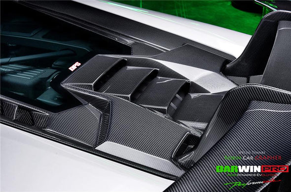Darwinpro 2015-2020 Lamborghini Huracan LP610/LP580 Coupe Performante Style Carbon Trunk Spoiler and Engine Hood