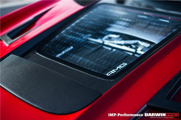 DarwinPro 2015-2022 Mercedes Benz AMG GT/GTS/GTC/GTR IMP Carbon Fiber Hood
