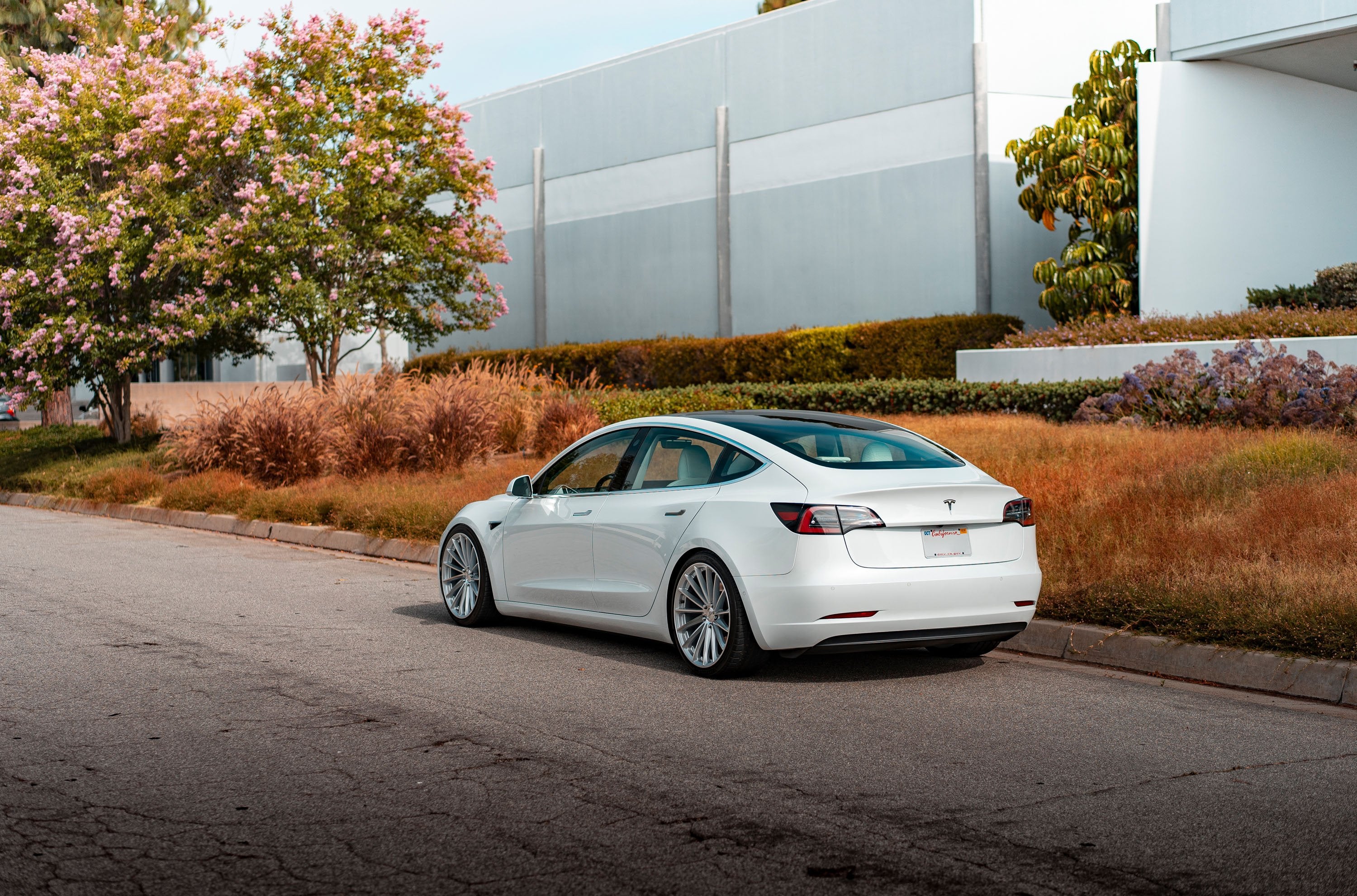 Ohm Wheels Proton for Tesla – CarGym